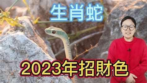 屬蛇幸運數字|生肖屬」蛇」與屬「馬」開啟幸運之門的數字能量密碼「2738。